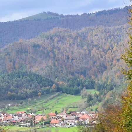 Hisa Haasberg Villa Planina  Bagian luar foto