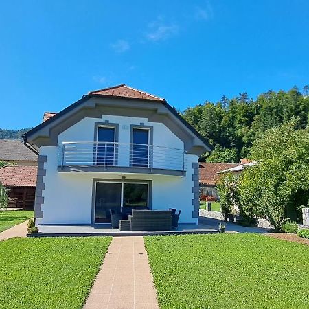 Hisa Haasberg Villa Planina  Bagian luar foto