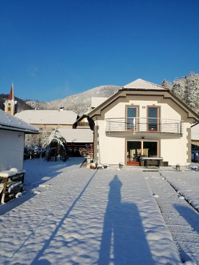 Hisa Haasberg Villa Planina  Bagian luar foto