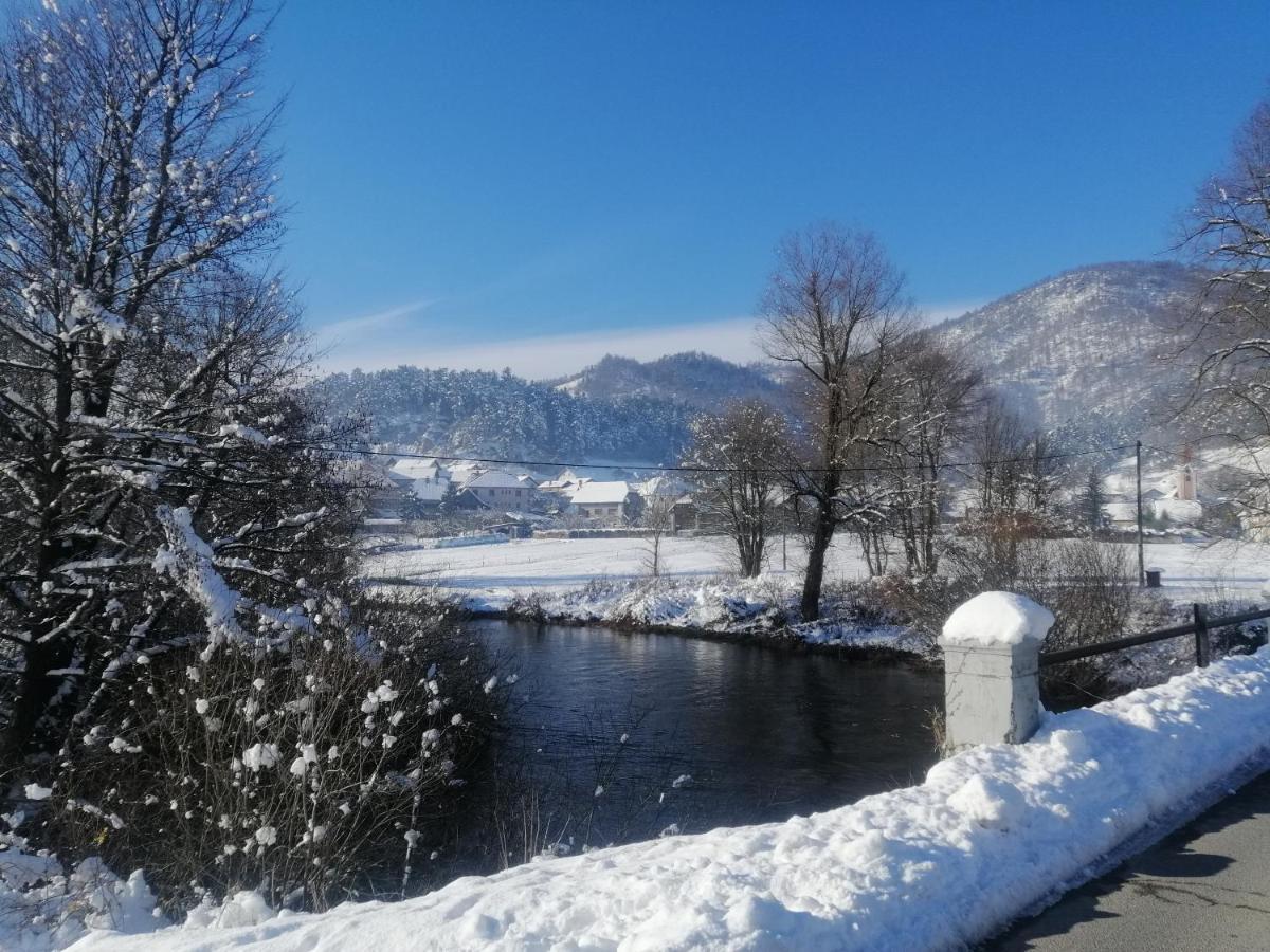 Hisa Haasberg Villa Planina  Bagian luar foto