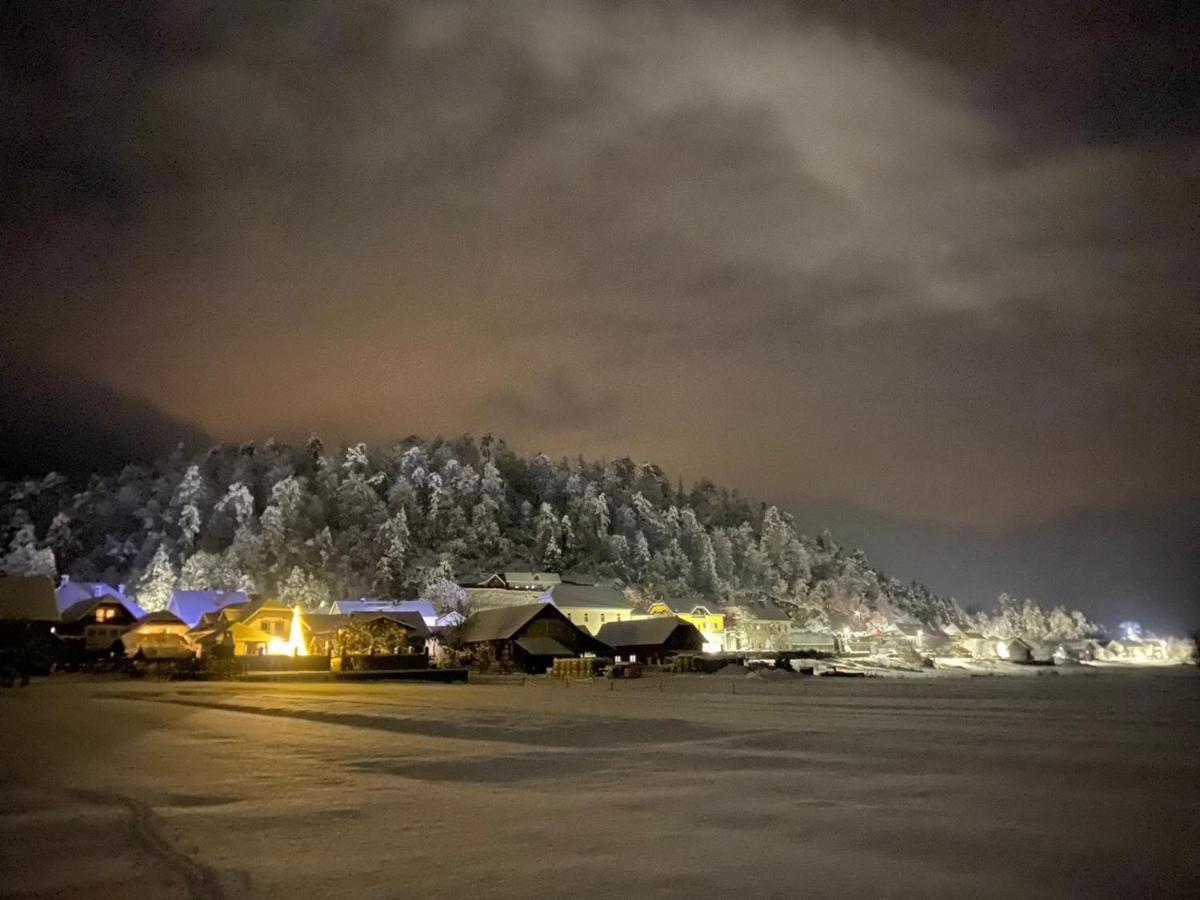 Hisa Haasberg Villa Planina  Bagian luar foto
