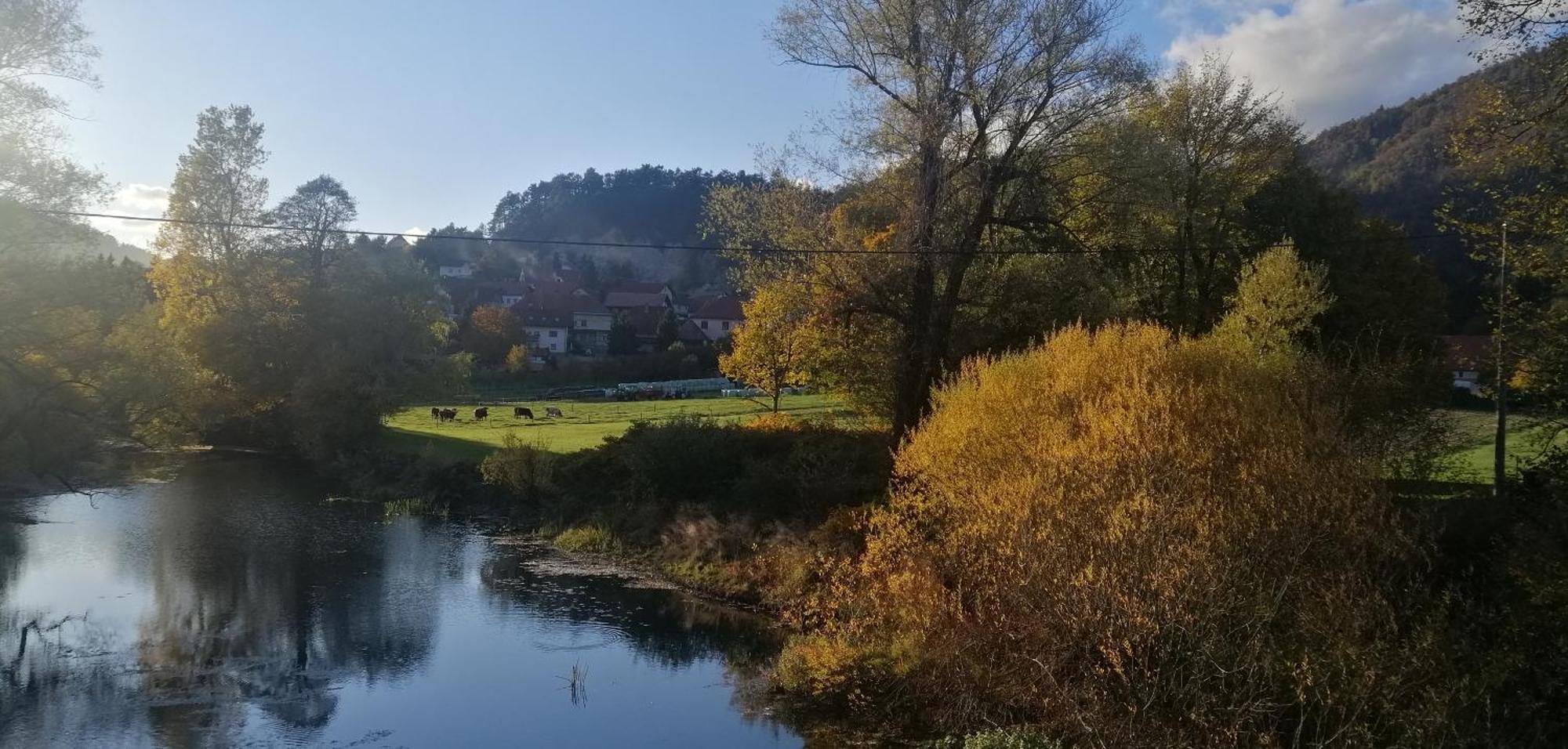 Hisa Haasberg Villa Planina  Bagian luar foto